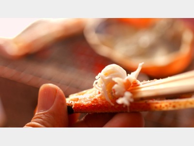 冬のお楽しみは、やっぱり「ずわい蟹」※イメージ