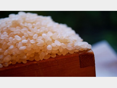 今では珍しいガス釜で炊いた美味しい「加賀こしひかり米」をお召し上がりください