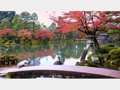 【秋の兼六園・ことじ灯篭】※石川県の有名観光スポット。紅葉が美しい。当館から車で約６０分程です