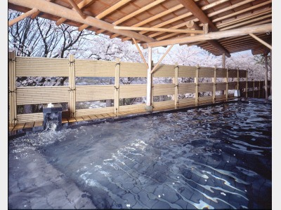 露天風呂「白山風露」　春