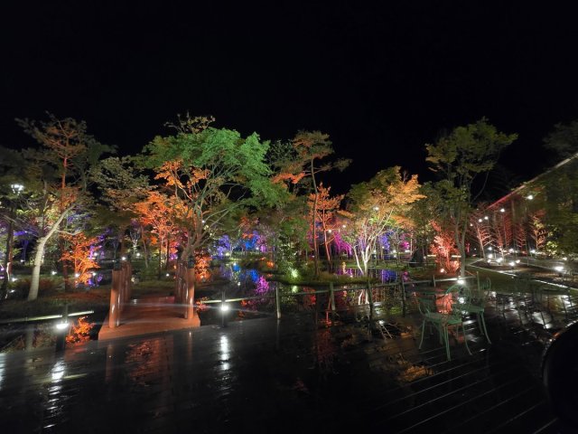 山代温泉みやびの宿　加賀百万石 夜の庭園