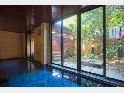 大きな窓からは木々の様子をお楽しみいただけます