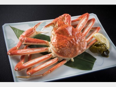 ジューシーな蟹をまるごと味わってください