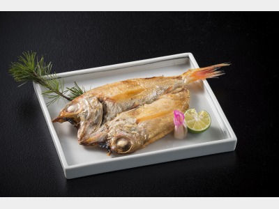 白身魚とは思えない脂乗りの高級魚「のどぐろ」