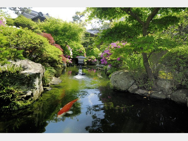 伝統旅館のぬくもり　灰屋 春の庭園