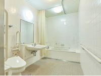 �o���A�t���[�c�C���i�o�X�t�j�^73����