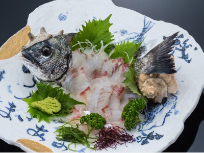 黒鯛の活き盛り