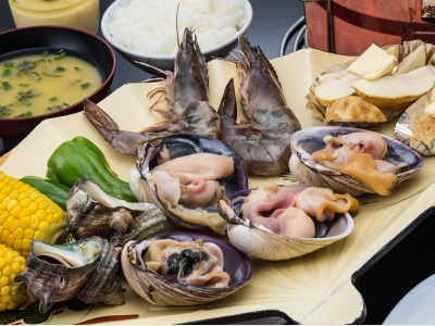 貝類　伊良湖で獲れた魚介類は最高です