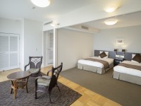 �f���b�N�X���C�h�r���[�c�C��