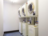 �R�C�������h���[