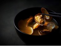 ���H�r���b�t�F�������C���[�W