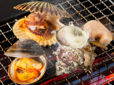 ＜はまゆう会席＞貝盛り合わせイメージ