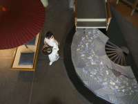 ������菈�^�����Ń~�l�����E�H�[�^�[�Ȃǂ����p�ӂ��Ă���܂��B