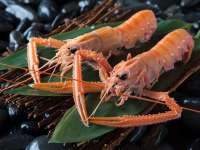 ���O���[�hUP��ȁ^���S���Y�[�C���ƎO�̖͂��o���i�̉�ȁB�[�C���A�J�U�G�r�͐�i�ł��i�C���[�W�ʐ^�j