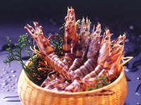 ���X�^���_�[�h��ȁ^�������ԊC�V���A�ґ�ɗx��H���ł��y���݂��������܂��i�C���[�W�j