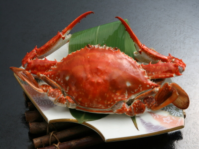 ◆夕食：日間賀島で揚がったワタリガニ
