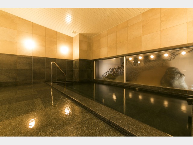 �j���ʑ嗁��@�j���C���[�W