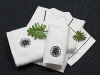 ���l���ƃK�E��