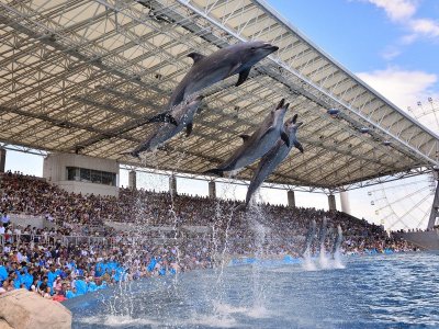【名古屋港水族館】