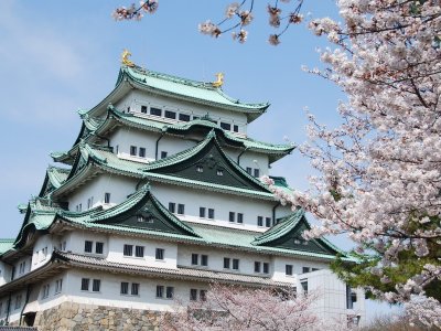 【名古屋城】徳川家康によって築城され国の「特別史跡」に指定されています