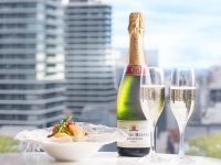 �y�G�X�p�V�I�t���A��p���E���W�z�V�����p�������p��