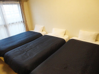 �q���C���[�W�V���O���g���v��