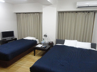 �q���C���[�W�t�@�~���[�c�C��