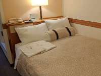 �X�^���_�[�h�J�b�v���q�����