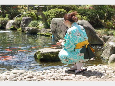 色浴衣イメージ