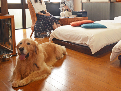 ◆愛犬と宿泊♪お部屋ではお客様もわんちゃんもごゆっくりお寛ぎいただけます♪　洋室イメージ