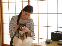 �������Əh���􂨕����ł͂��q�l����񂿂�����������肨�������������܂���@�a���C���[�W