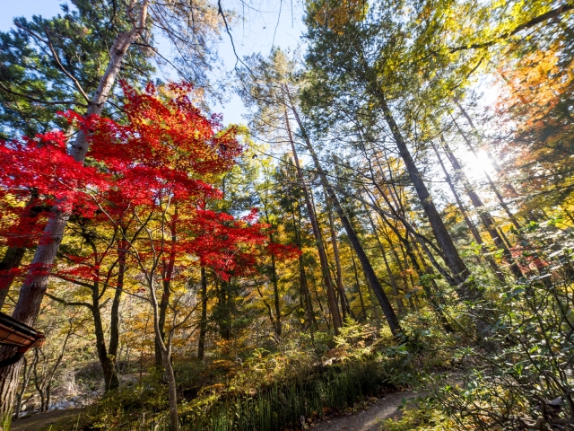 日本の宿　ひだ高山　倭乃里 景観