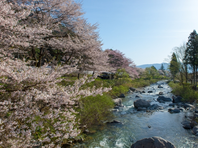 日本の宿　ひだ高山　倭乃里 景観