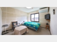 �V���O���i���j