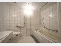 DX���j�o�[�T���i���C�ݔ��j