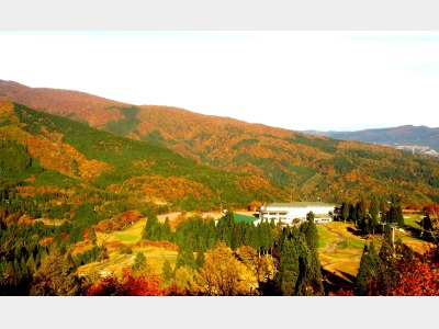 全山紅葉の白鳥高原からの景色