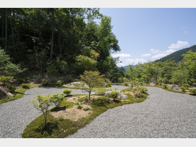 デラックスルームからの景色