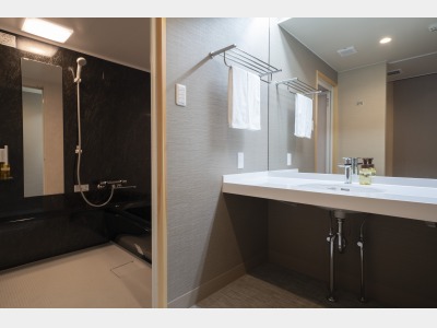 スタンダードルームの洗面所