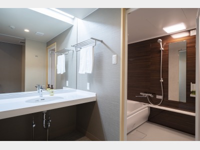 スタンダードルームの洗面所