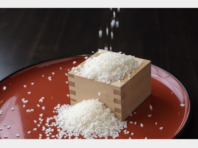 郡上産の白米