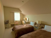 �m���i�c�C���j