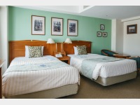 �f���b�N�X�c�C�����