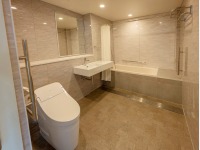 �A�N�Z�V�u�����[���i�o�X�t�j