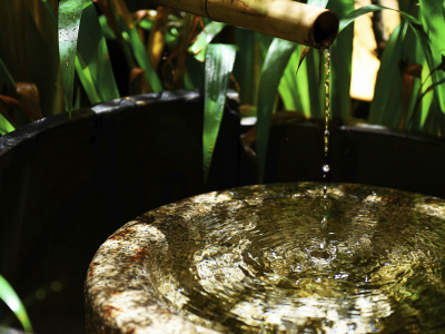 鈴　プレミアム　飛雲　庭