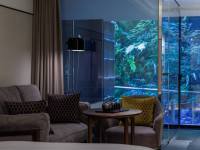 �K�[�f���c�C��