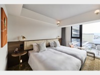 �c�C���i���j