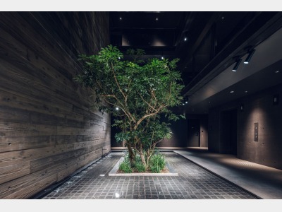 中庭（イメージ）