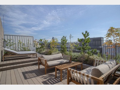 Park Suite Terrace