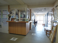 2F�t�����g