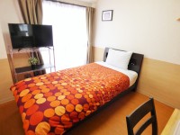 �V���O�����[���y�։��z